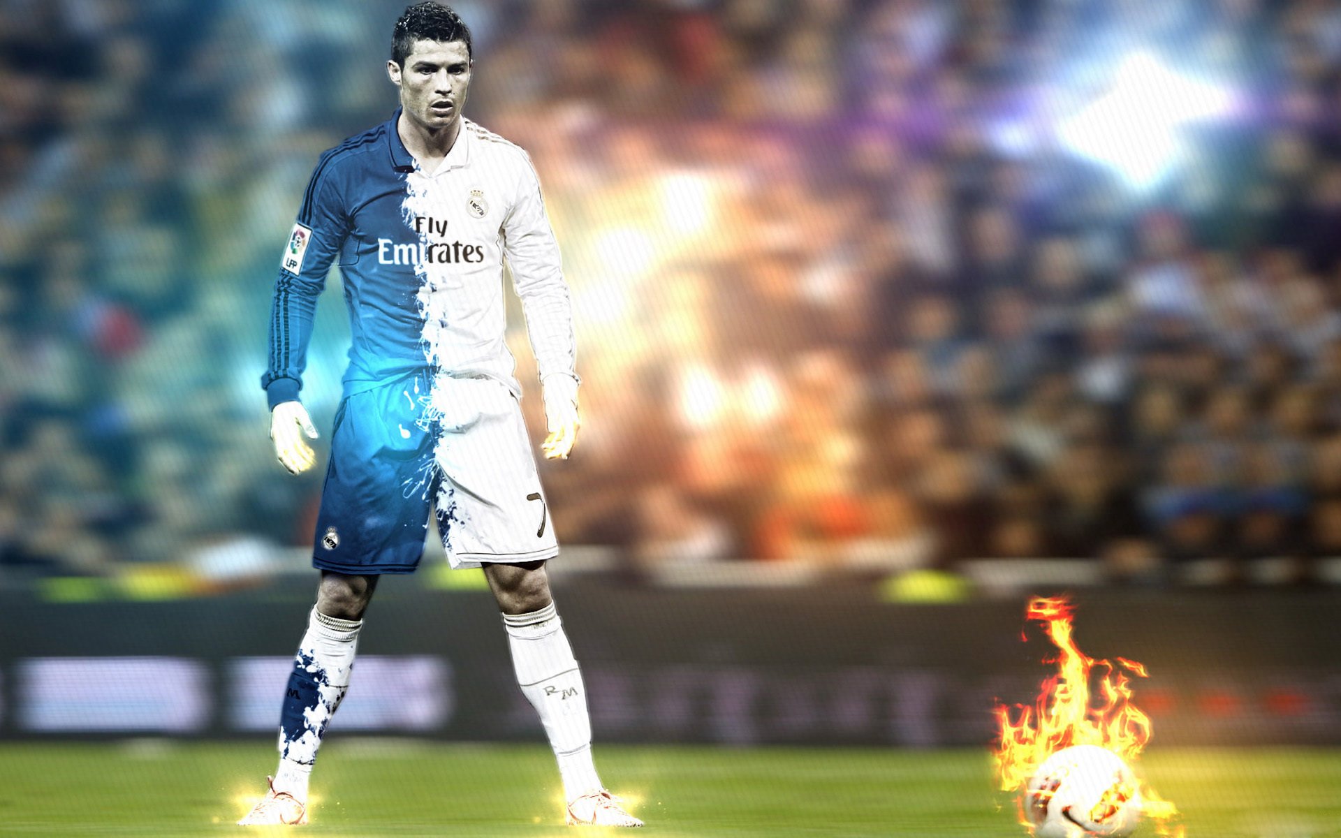 体育新闻中心联动校园体育，校园体育文化节新闻稿600字