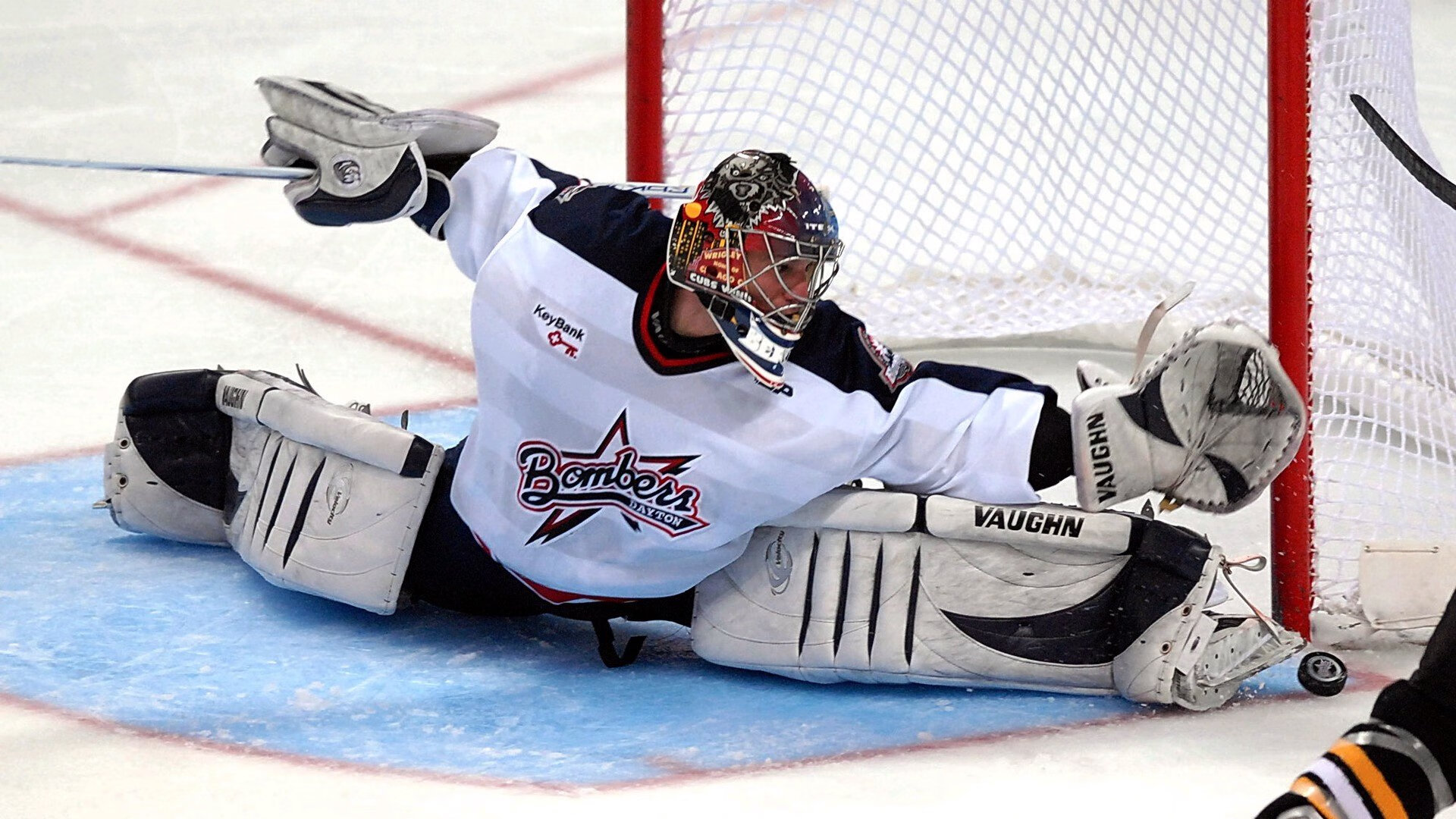 塔特带领袋鼠队迎战新西兰，全场表现可圈可点